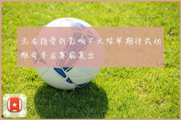 无名指骨折影响不大绿军期待武切维奇季后赛前复出