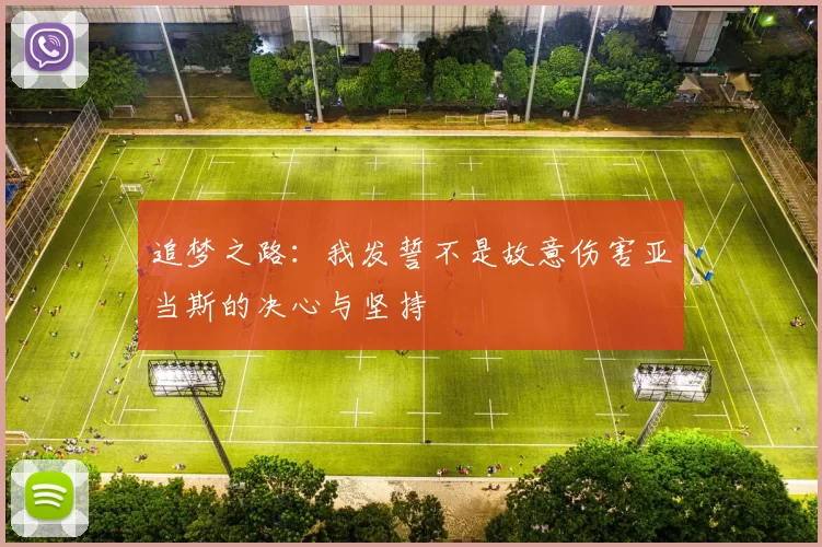 追梦之路：我发誓不是故意伤害亚当斯的决心与坚持